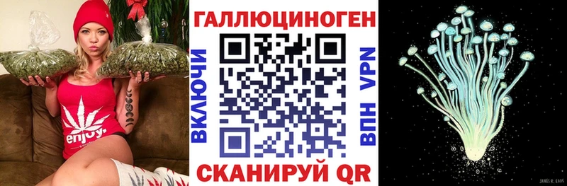 закладка  Стрежевой  Псилоцибиновые грибы Cubensis 